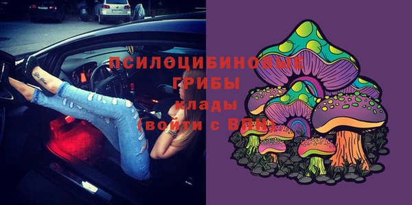 эйфоретик Белокуриха