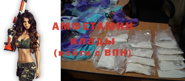 хмурый Инсар